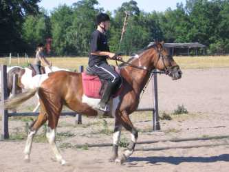 Niezapomniana Nadmorska Przygoda - OBÓZ KONNY (11-18 lat). Profesjonalne szkolenie dla początkujących, średnio zaawansowanych, zaawansowanych, obóz sportowo-szkoleniowy